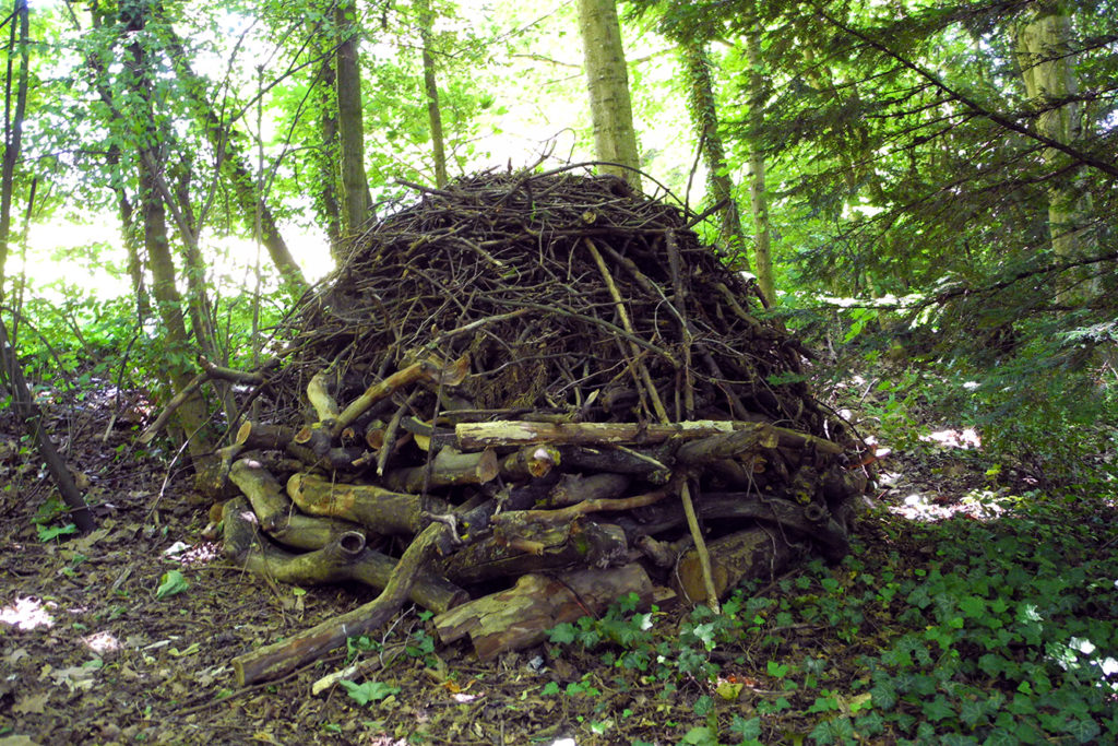 Création de niches « faune et flore »